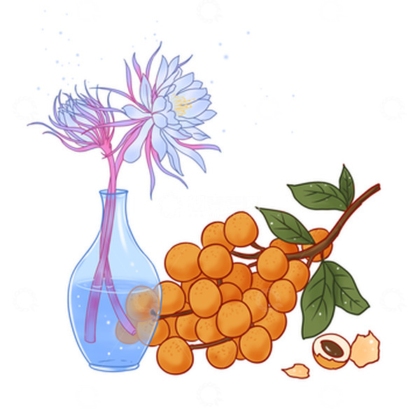源文件下载【趣麦麦图】白露桂圆昙花露水