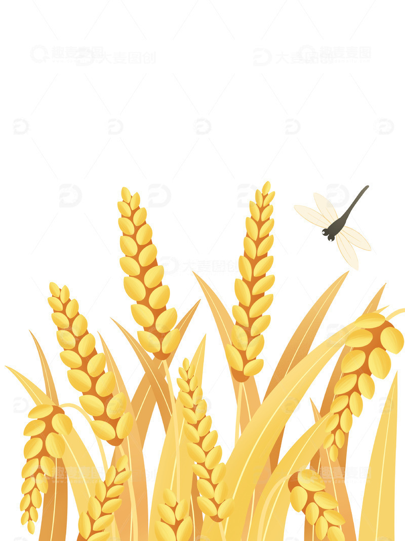 源文件下载【趣麦麦图】手绘秋分麦穗小麦大米素材插画