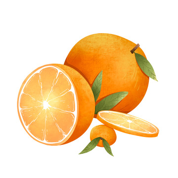 手绘橙子橘子水果叶子插画元素