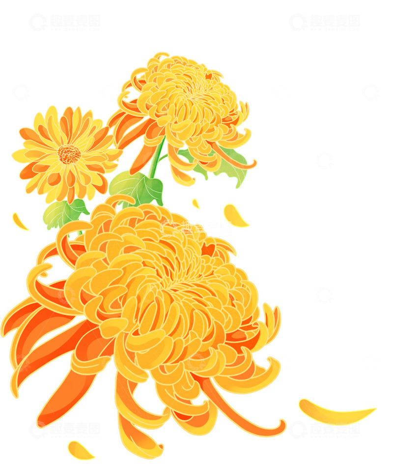 源文件下载【趣麦麦图】-国潮节日节气中秋秋季菊花装饰