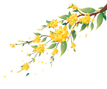 中秋节手绘桂花枝叶