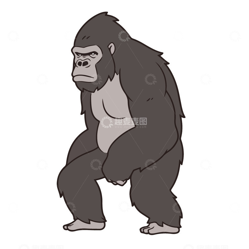 源文件下载【趣麦麦图】大猩猩矢量插画