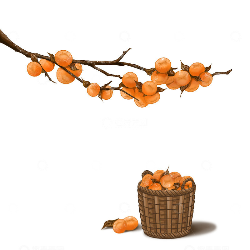 源文件下载【趣麦麦图】寒露柿子元素