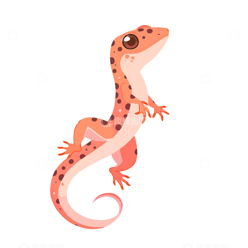 源文件下载【趣麦麦图】红色的小蜥蜴