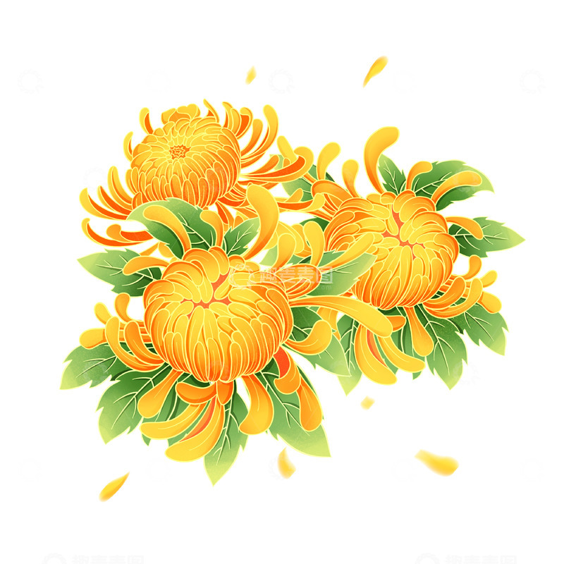 源文件下载【趣麦麦图】国潮节日节气中秋秋季菊花装饰素材