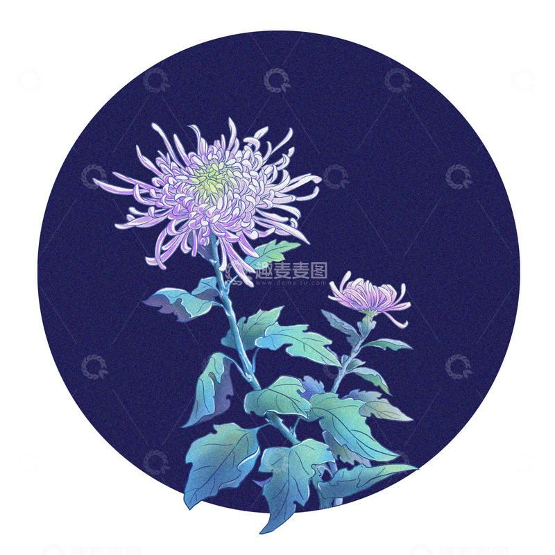 源文件下载【趣麦麦图】菊花降温寒露场景寒露国风