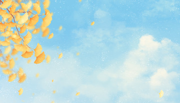 小清新秋季的银杏叶蓝天白云背景