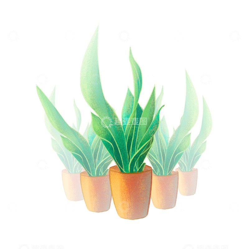 源文件下载【趣麦麦图】手绘盆栽绿植虎皮植物室内植物