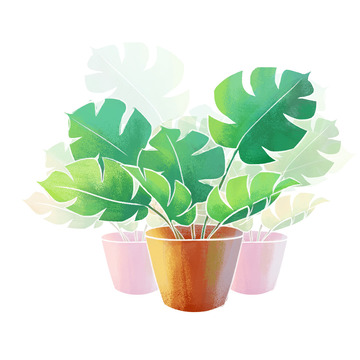 盆栽绿植植物观赏手绘植物