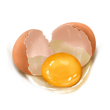 美食插画鸡蛋