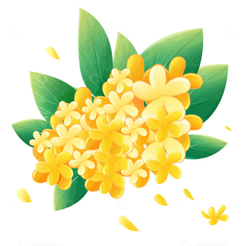 源文件下载【趣麦麦图】中秋节手绘桂花枝叶元素
