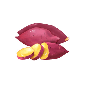 粗粮早餐黄心手绘水彩番薯红薯健康小吃美食