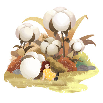 寒露 棉花 小女孩