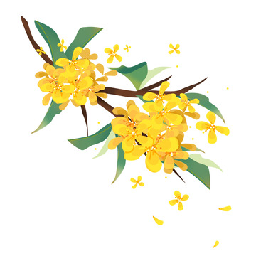 手绘文艺中国风桂花植物落叶装饰插画元素