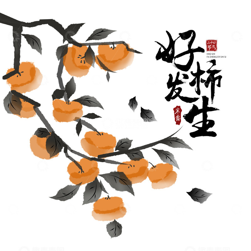 寒露好柿发生水墨柿子枝头落叶