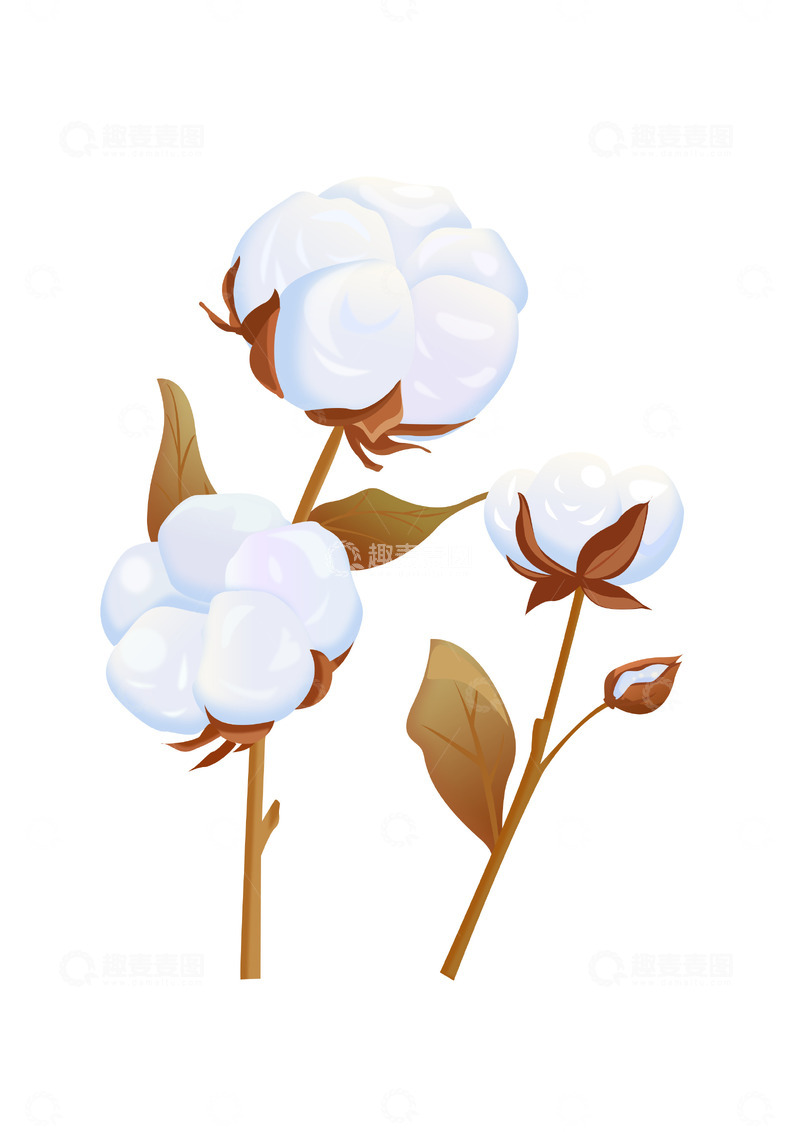 源文件下载【趣麦麦图】二十四节气霜降棉花