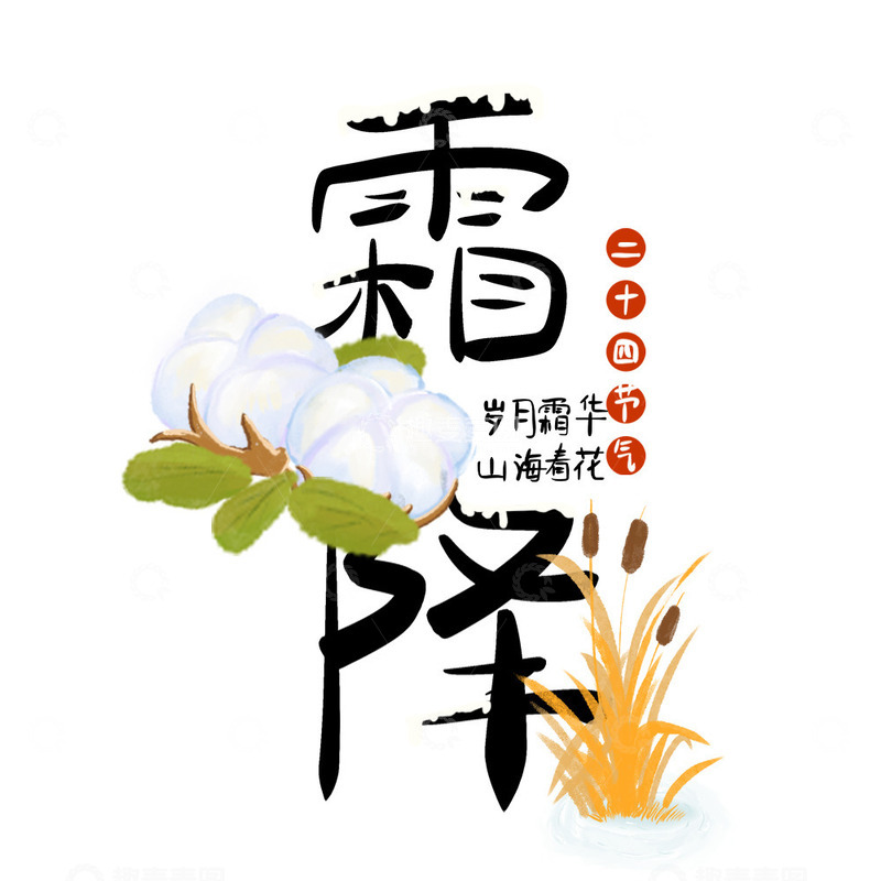 源文件下载【趣麦麦图】霜降主题艺术字棉花芦苇