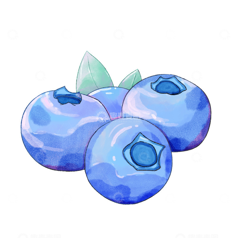 源文件下载【趣麦麦图】简约水彩蓝莓水果