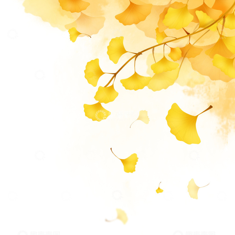 源文件下载【趣麦麦图】手绘淡雅小清新银杏叶飘落装饰元素