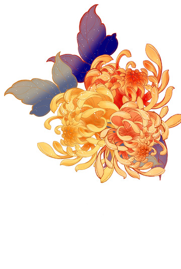 菊花元素重阳节一簇花