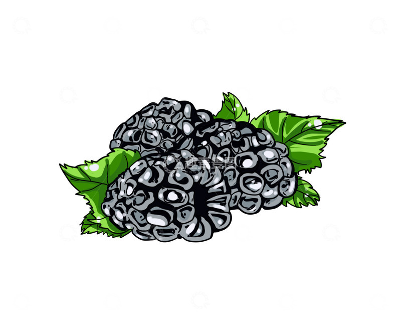 源文件下载【趣麦麦图】健康营养水果桑葚