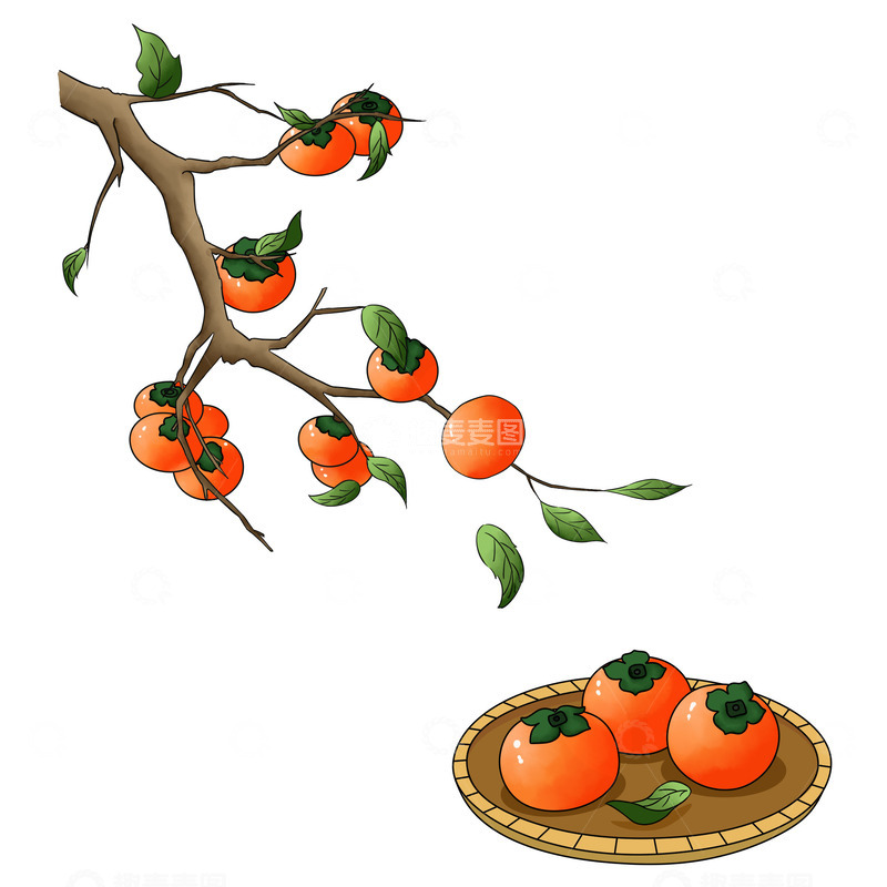 源文件下载【趣麦麦图】霜降十二节气柿子霜降场景手绘元素