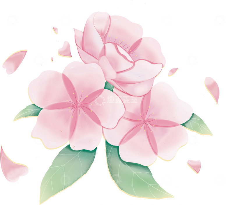 源文件下载【趣麦麦图】树上盛开的樱花