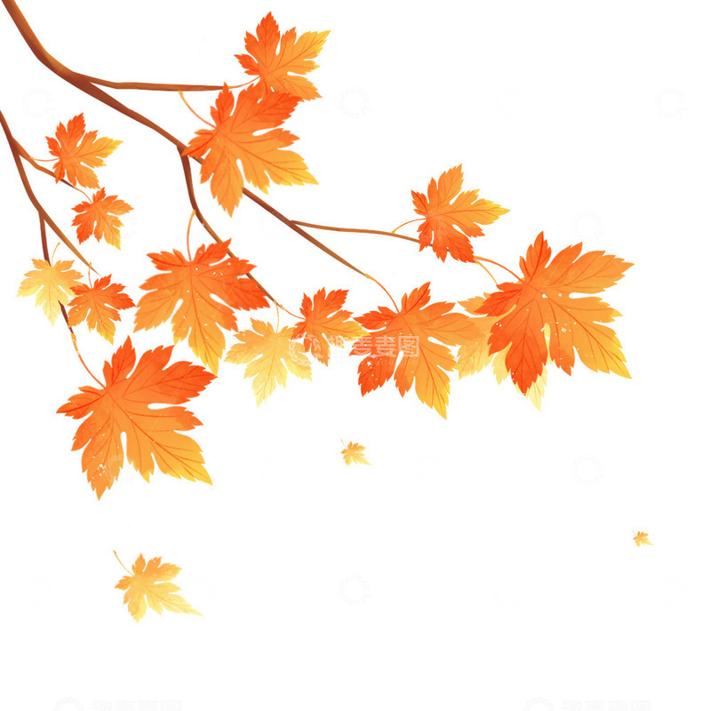 源文件下载【趣麦麦图】秋天树叶枫叶元素