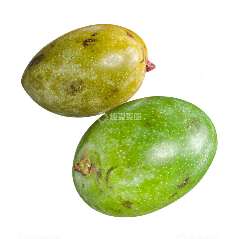 源文件下载【趣麦麦图】超写实水果芒果