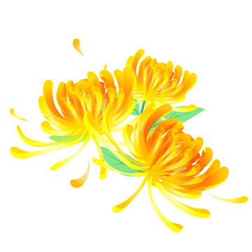 秋天国潮金色菊花装饰矢量元素