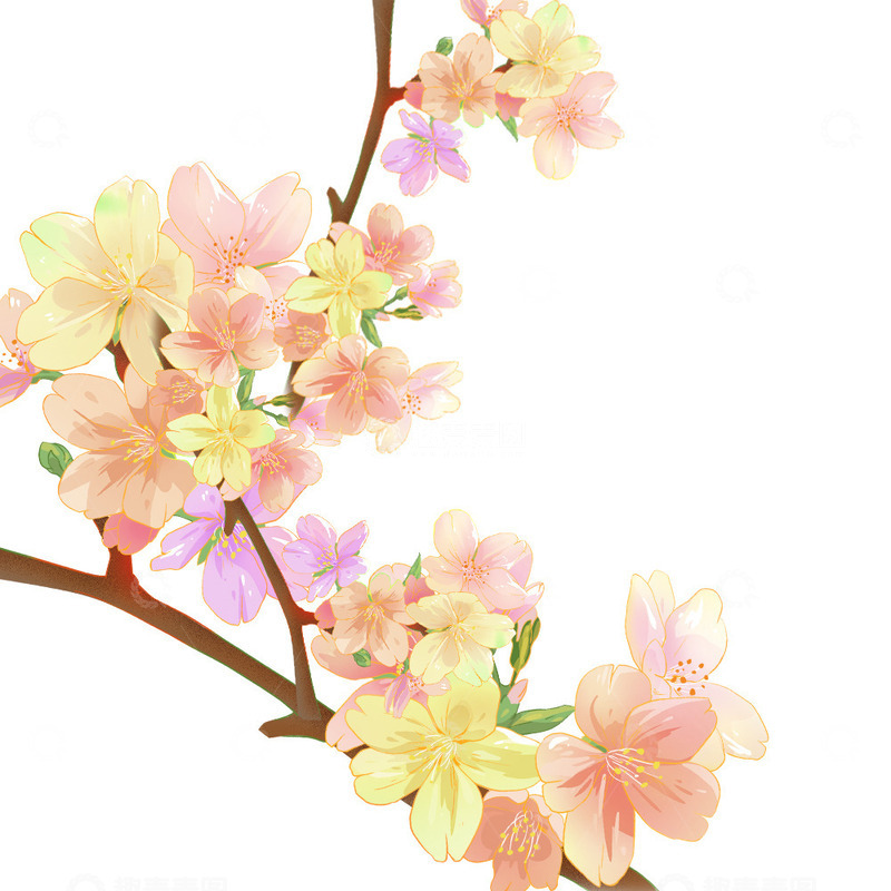 源文件下载【趣麦麦图】花朵植物插画手绘元素