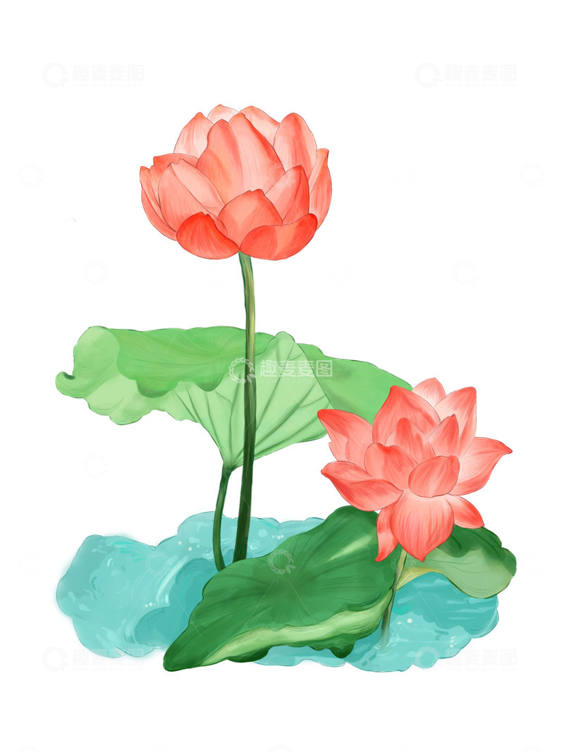 源文件下载【趣麦麦图】手绘水彩植物 荷花荷叶景观手账