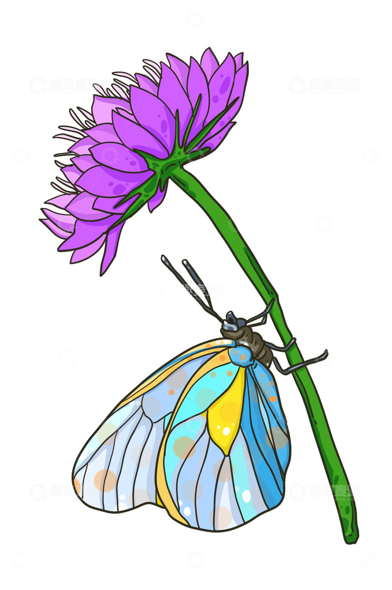 源文件下载【趣麦麦图】美丽的花朵与蝴蝶