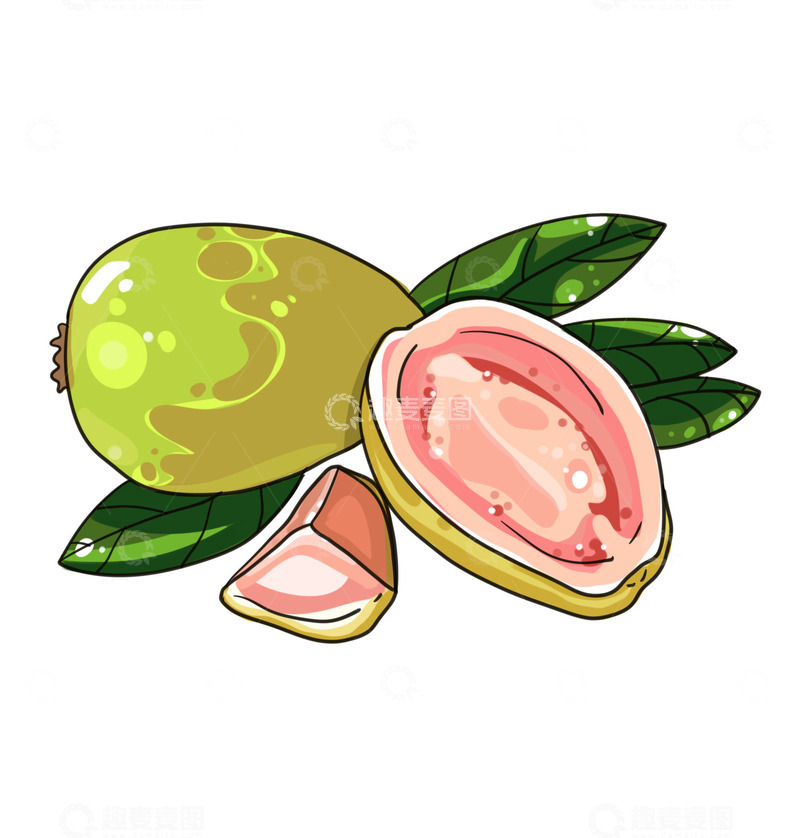 源文件下载【趣麦麦图】美味水果番石榴芭乐