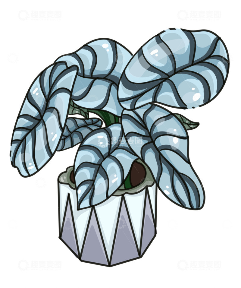 源文件下载【趣麦麦图】美丽的蓝色植物盆栽