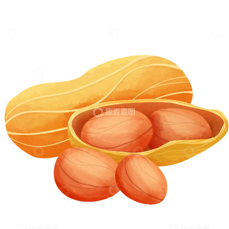 手绘花生坚果类元素