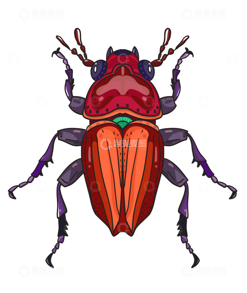 源文件下载【趣麦麦图】昆虫大世界甲壳虫
