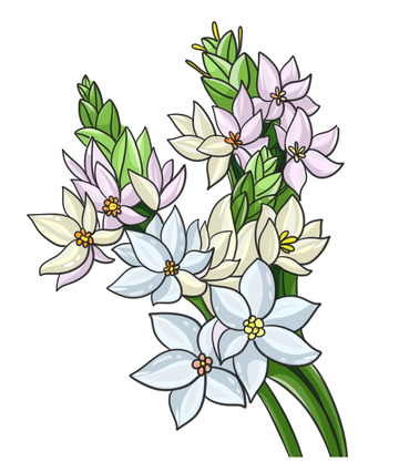 新鲜蓝紫色花卉