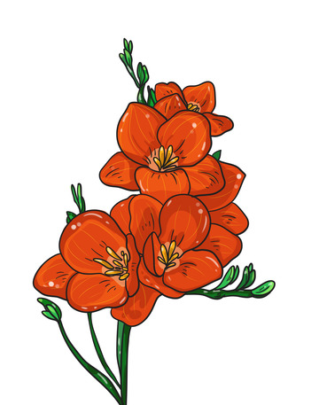 美丽的红色兰花