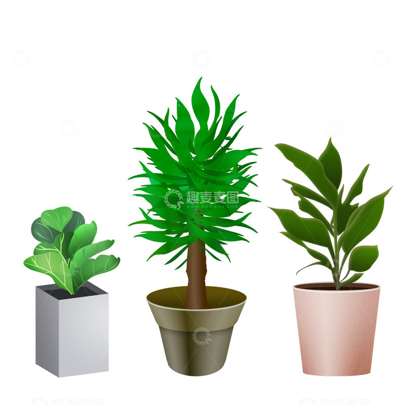 卡通室内盆栽植物叶子绿叶