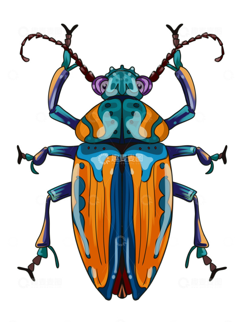源文件下载【趣麦麦图】昆虫大世界黄蓝色甲壳虫