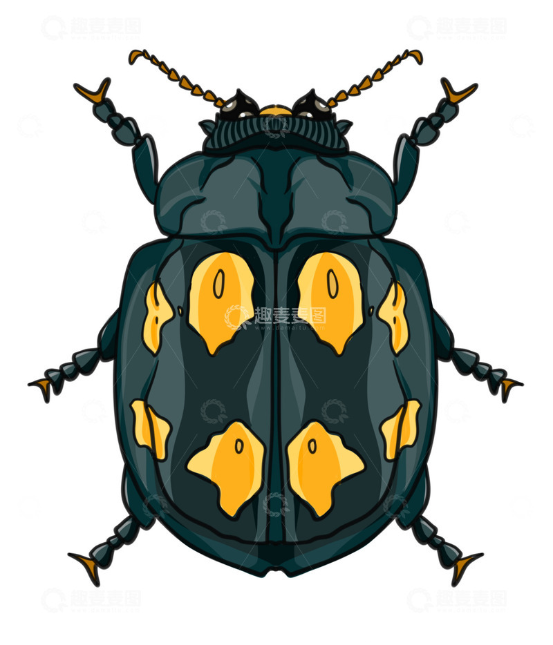 源文件下载【趣麦麦图】昆虫大世界黑黄虫