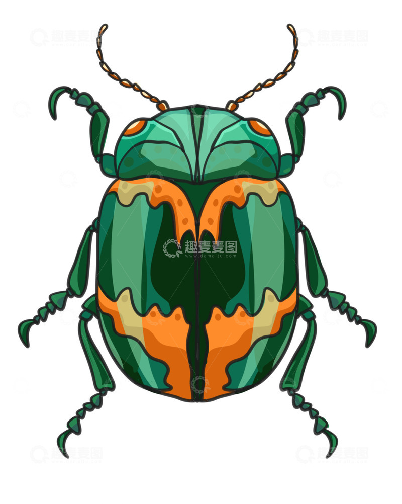源文件下载【趣麦麦图】昆虫大世界绿色甲壳虫