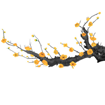 中国风金梅古风梅花手绘腊梅元素