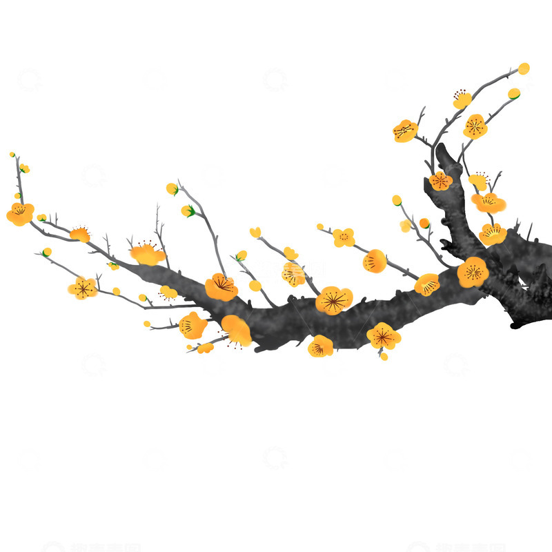 中国风金梅古风梅花手绘腊梅元素