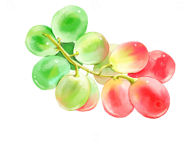 源文件下载【趣麦麦图】水果葡萄水彩插画