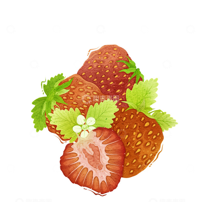 源文件下载【趣麦麦图】肌理质感水果插画元素草莓