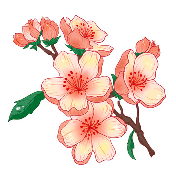 美丽漂亮新鲜桃花开