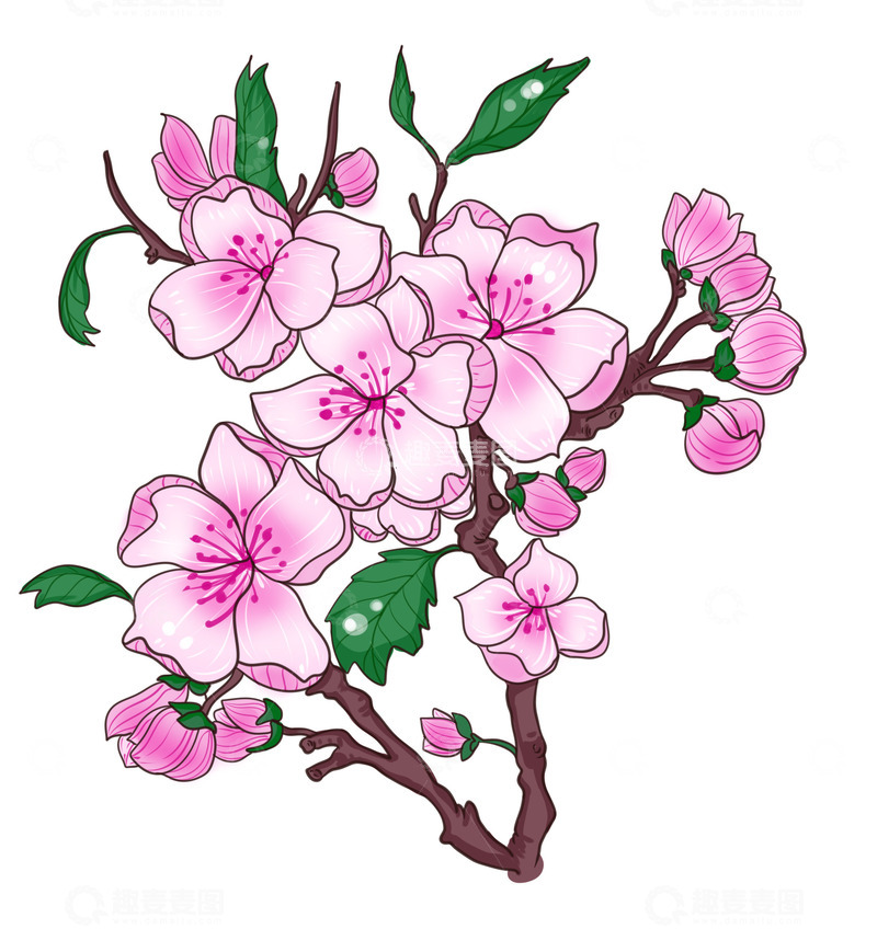 源文件下载【趣麦麦图】粉粉桃花开放