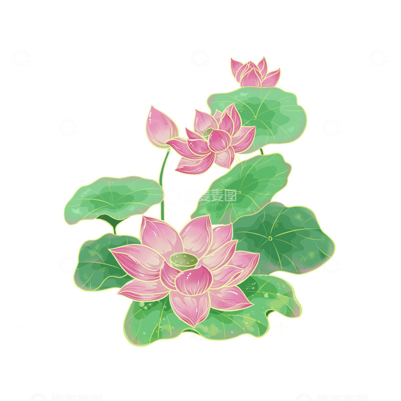 源文件下载【趣麦麦图】国潮荷花荷叶元素清新手绘